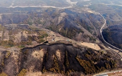 박찬대, 韓대행에 “헌정수호·산불대책 논의” 제안