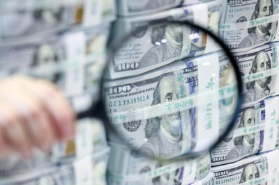 "환율 1500원 눈앞"…관세 전쟁·정치 혼란에 휘청이는 원화