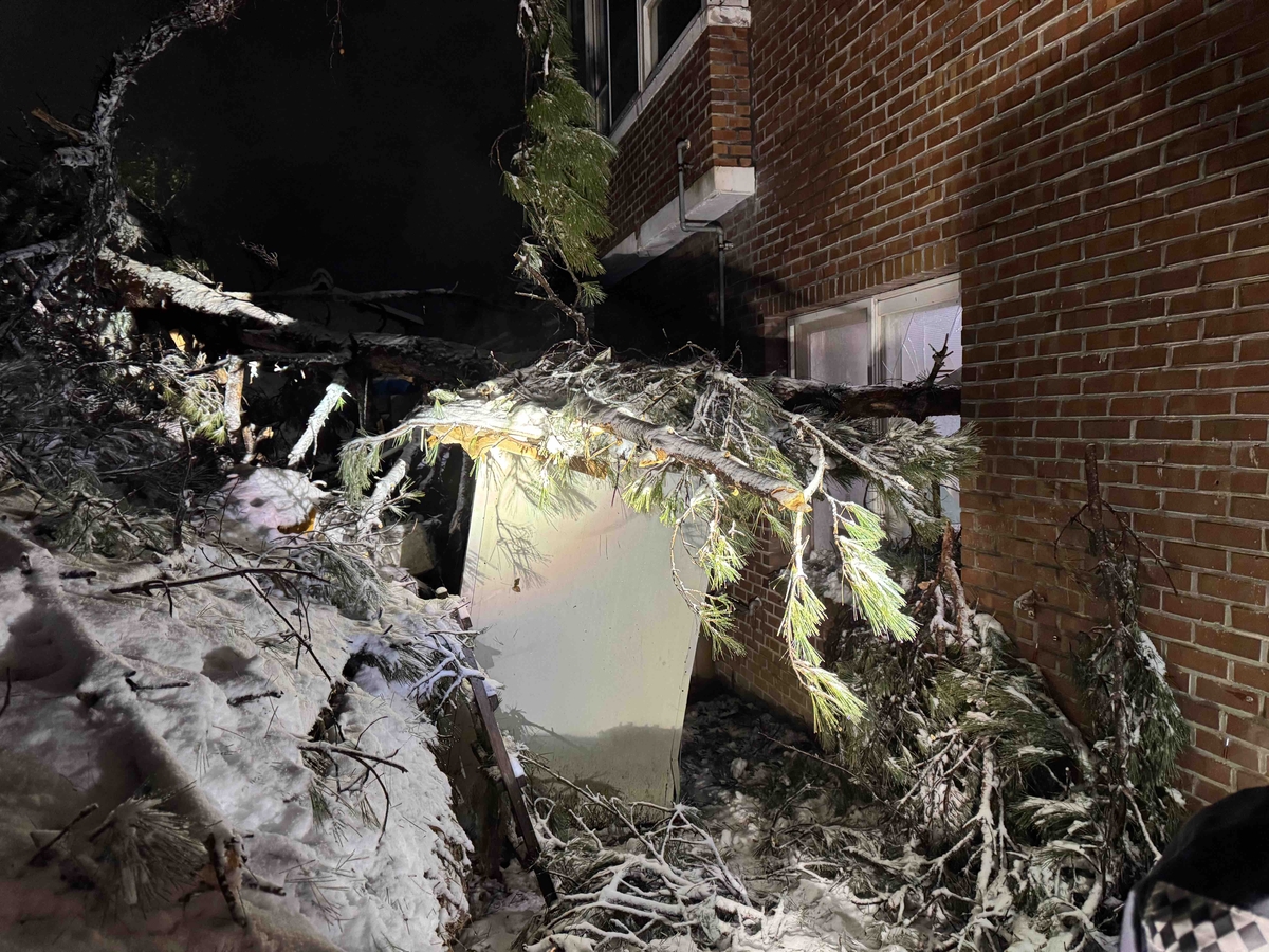 50㎝ 육박 폭설 쏟아진 강원서 눈길 '쾅쾅' 교통사고 잇따라