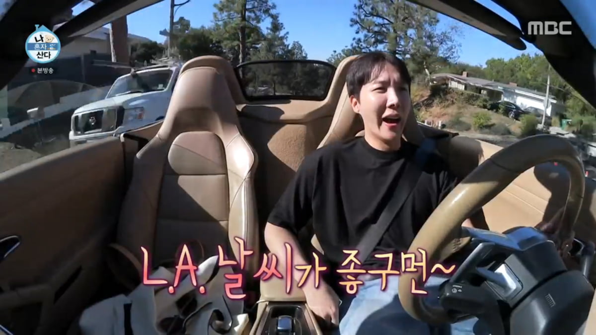 사진=MBC '나 혼자 산다' 방송 캡처