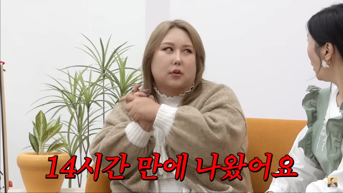 사진=유튜브 'A급 장영란' 영상 캡처