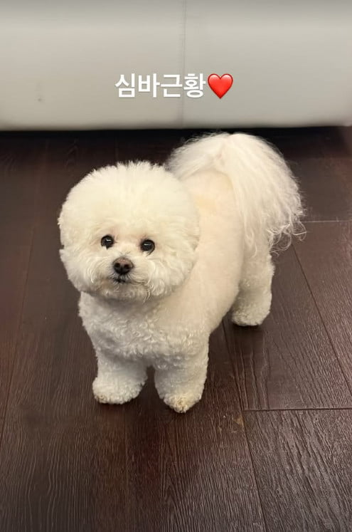 사진=박서준 SNS