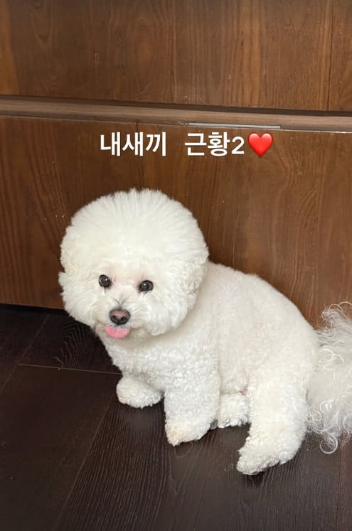 사진=박서준 SNS