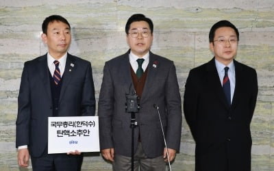 "기각 뻔한데" 민주당 줄탄핵…변호사에 혈세 3억 '펑펑'