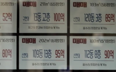 "박수홍 사고 15억 뛰어"…토허제에도 공고한 '그사세' 아파트