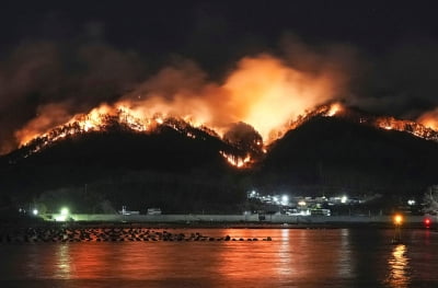 "30년 만에 최악의 산불"…日 혼슈 이와테현 엿새째 '활활' [영상]