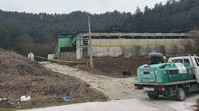 굶어 죽었나?…해남서 소 63마리 '의문의 떼죽음'