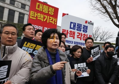 민주당 백혜련, 헌재 앞서 달걀에 '퍽'…'尹 파면' 외치다 봉변