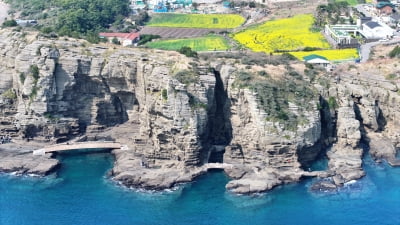 "제주도 안 갈래요" 외면 당하더니 결국…반값 폭락에 '비명'