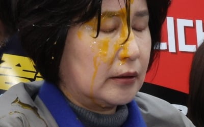 백혜련 '날계란 테러'에…민주당 "즉각 테러범 체포해야"