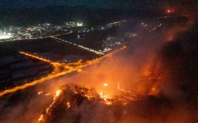 '괴물 산불'에 대피 못한 시민들…사망자 최소 10명 집계