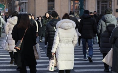 10년새 가장 추웠던 2월…북극 '블로킹'에 갇히자 찬 공기 남하