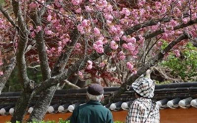 "지긋지긋한 30년 갈라서자"…폭증한 '황혼 이혼'