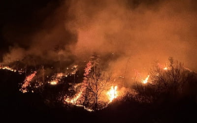 오늘 하루만 16건…충청·호남·영남 산불 위기경보 '심각' 발령