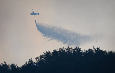 [속보] 창녕군 "산청 산불 진화하던 진화대원 2명 숨진 채 발견"