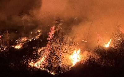 중대본 "동시 산불로 산림 3286㏊ 타"…축구장 4600개 크기