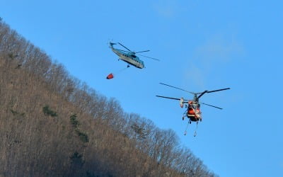 경주 양남면 야산서도 산불…경북 6곳서 산불 추가 발생