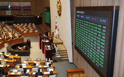 "외교력 악화" "국익 손해"…'한미동맹 결의안' 반대한 조국당