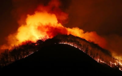 의성 산불 이틀째 축구장 6512개 면적 불타…이철우 "특별재난지역 선포해야"