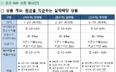 "손실 나도 원금 책임"…증권사 IMA 상품 출시 본격화