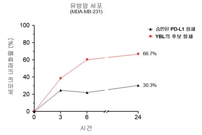 삼중음성 유방암 세포에서 와이바이오로직스의 후보 스포츠토토와 승인된 PD-L1 스포츠토토의 내재화율 비교