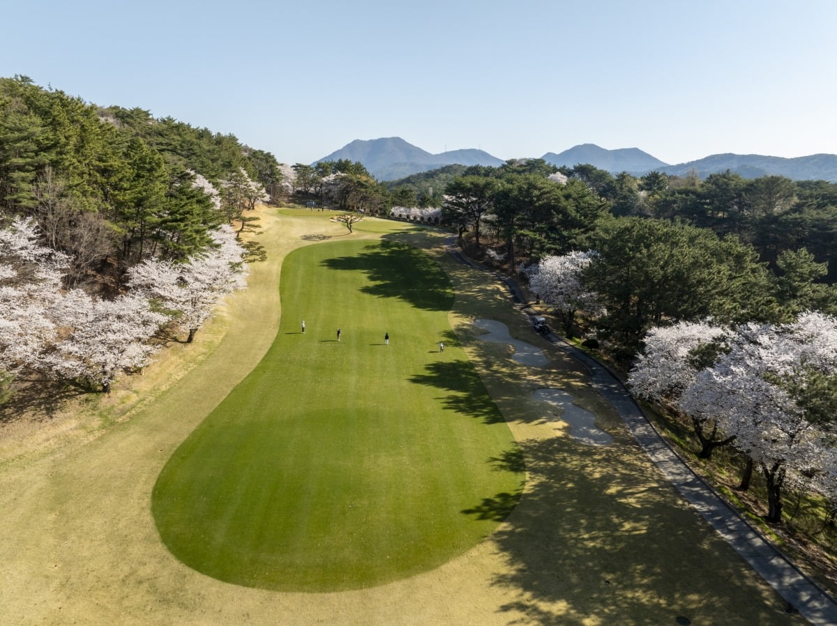 서재원 한국경제신문 기자가 김도진 동래베네스트 지배인, 최현오 동래베네스트 프로, 장영수 삼성물산 리조트부문 프로와 함께 두산건설 위브 챔피언십 1라운드 때 가장 어렵게 플레이된 부산 금정구 동래베네스트GC 10번홀(대회 1번홀) 페어웨이를 걸어가고 있다. 삼성물산 리조트부문 제공
