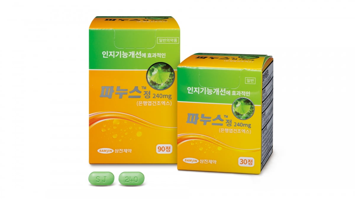 파누스정 240mg