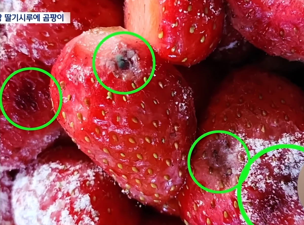 곰팡이가 핀 성심당 딸기시루. /사진=대전MBC 캡처