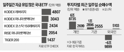 레버리지에 베팅 … '강심장 개미' 웃었다