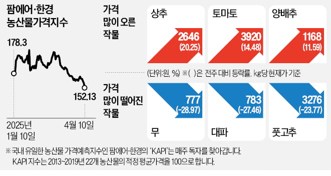 산불 피해에도…작년보다 싸진 대파·고추