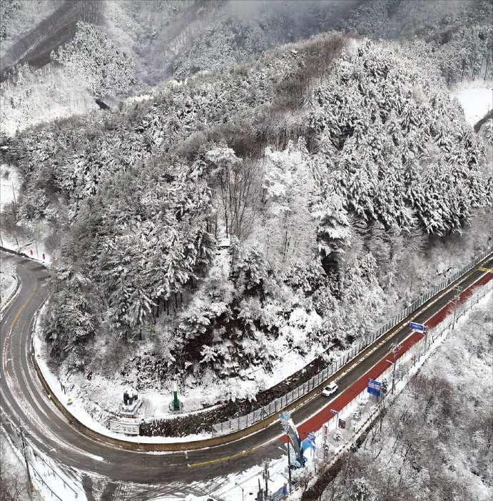 [포토] 벚꽃과 눈꽃이 동시에…4월 풍경 