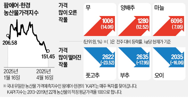 무, 일주일 새 14% 급등…배추는 안정세