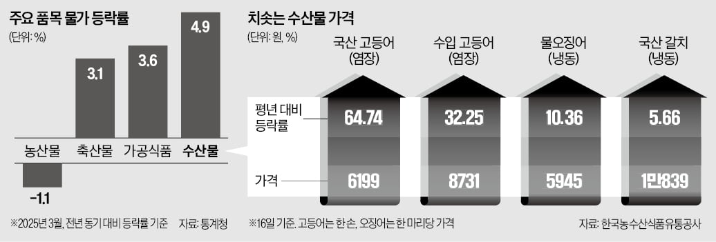 "한 마리 5000원 될 판"…고등어 비싸진 이유 알고 보니