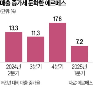 관세 압박에…에르메스, 美 가격 올린다