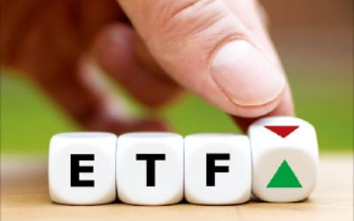 출렁이는 증시에 힘 못쓰는 레버리지 ETF