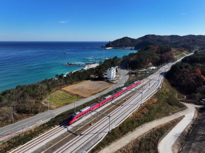 100년 만에 맞춘 ‘퍼즐’…포항·삼척 철마가 달린다