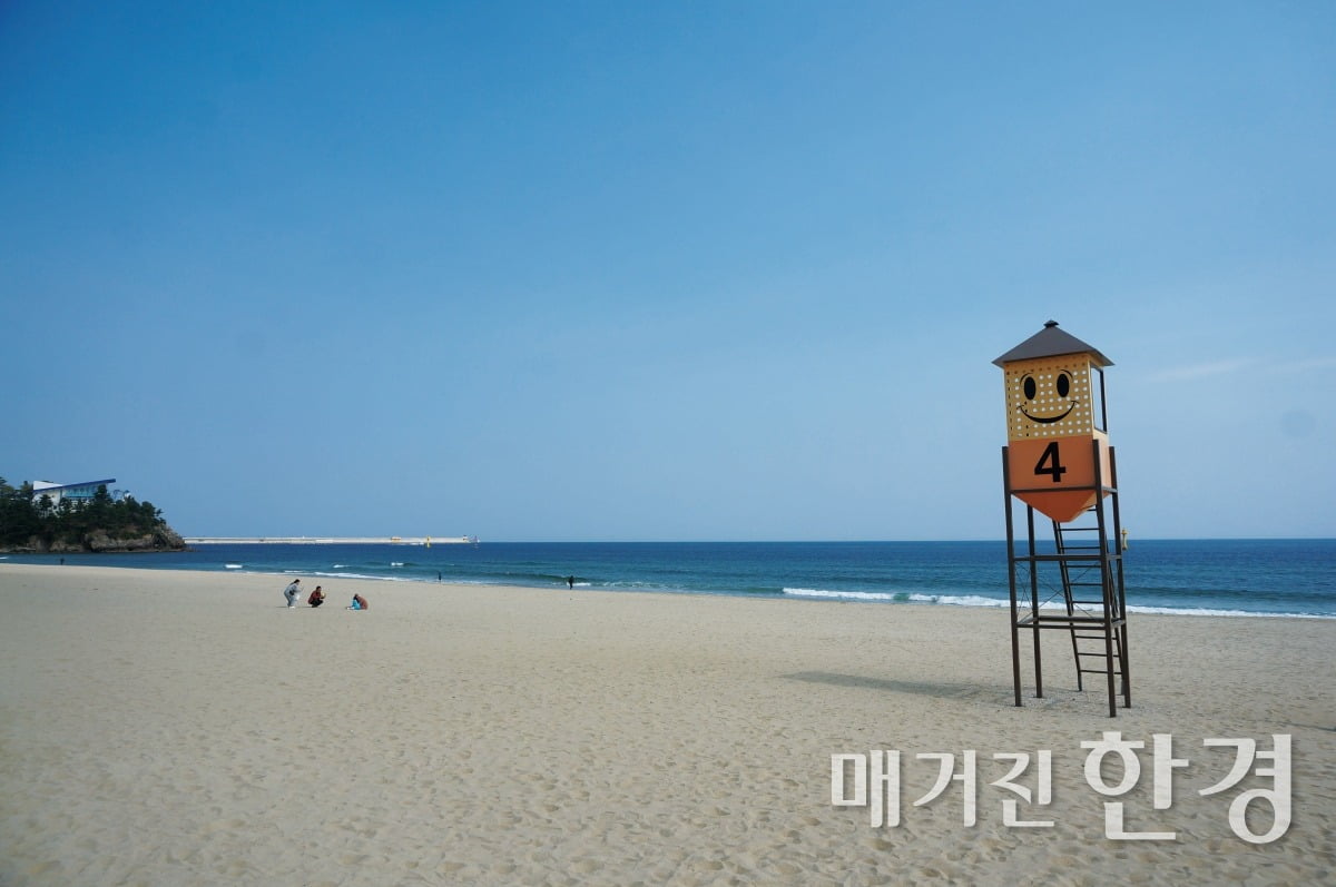 삼척 새천년도로를 지나 해변가로 왔다./사진=정초원 기자
