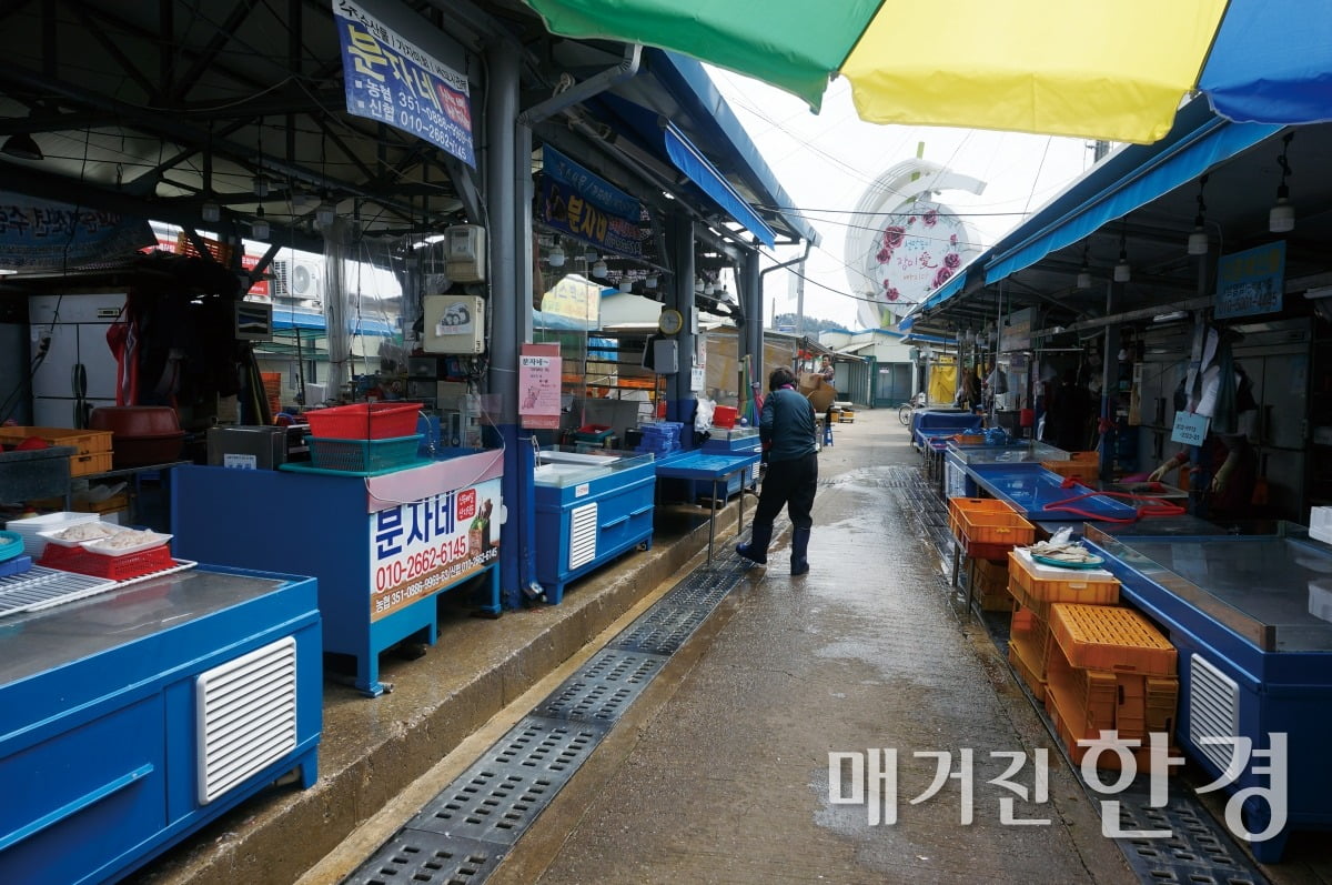 100년 만에 맞춘 ‘퍼즐’…포항·삼척 철마가 달린다