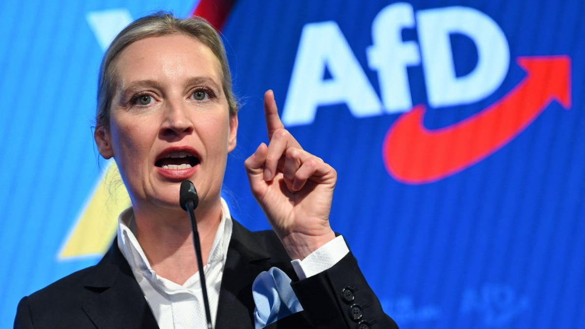 알리스 바이델 독일을 위한 대안(AfD) 공동대표 / 사진=연합뉴스