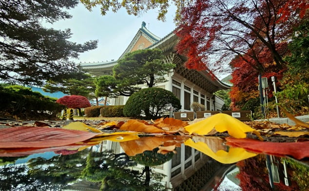  ‘제1회 청와대 모바일 토토사이트 토토카페전’ 금상 수상작(홍설희 작)/토토사이트 토토카페=청와대재단