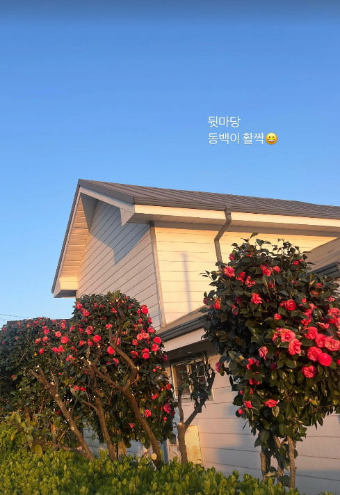 사진=제아 SNS