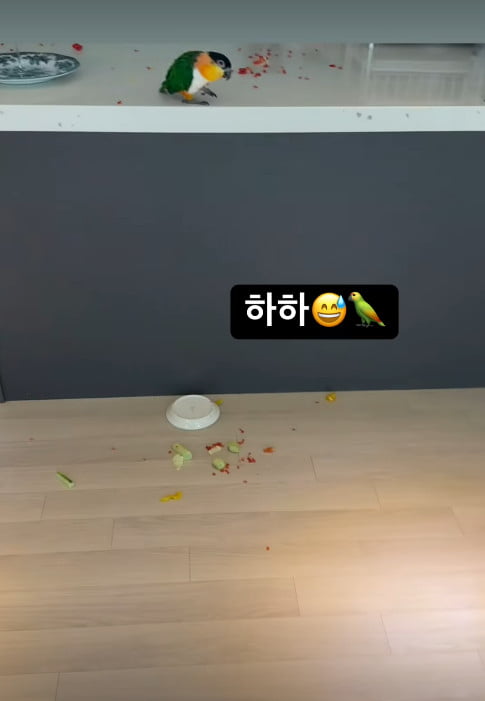 사진=박하나 SNS