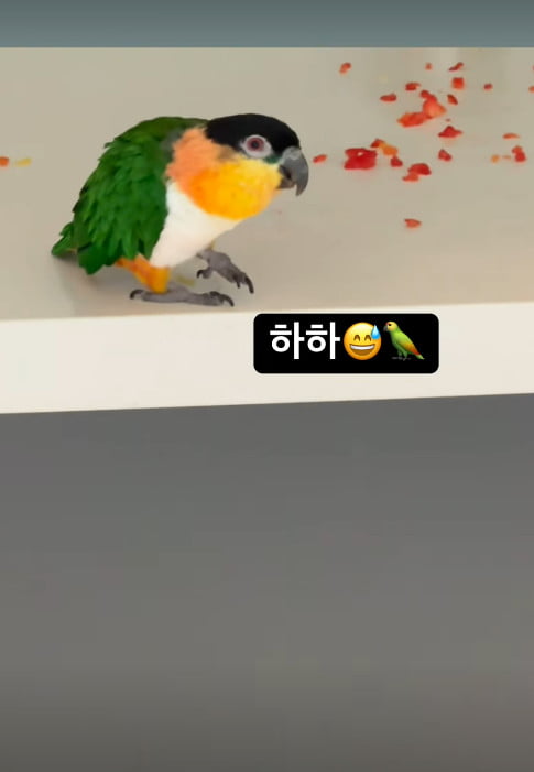 사진=박하나 SNS