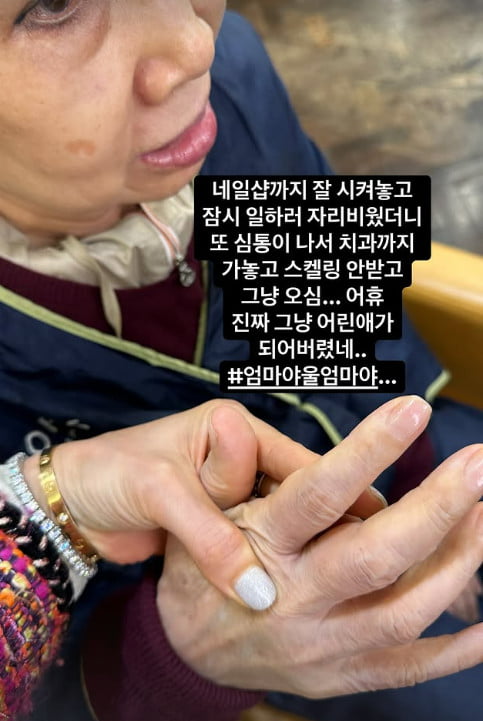 사진=안선영 SNS