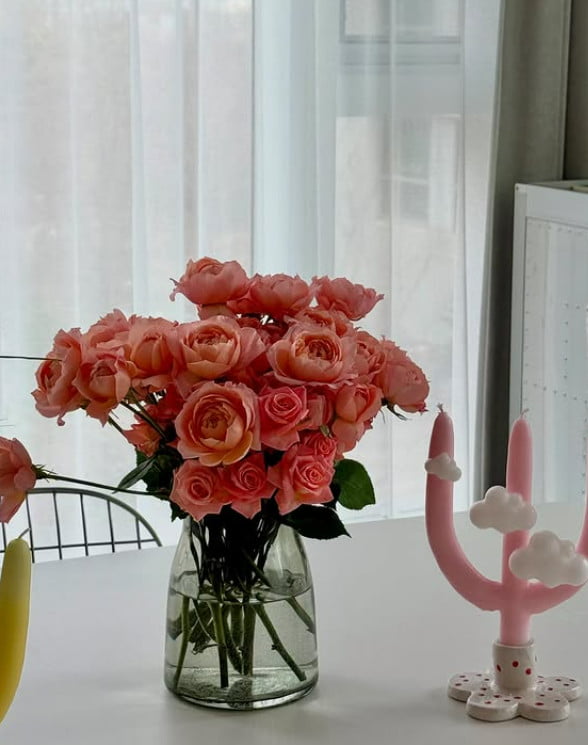 사진=이시영 SNS