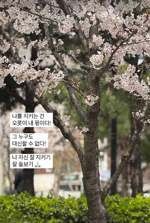 사진=이솔이 SNS