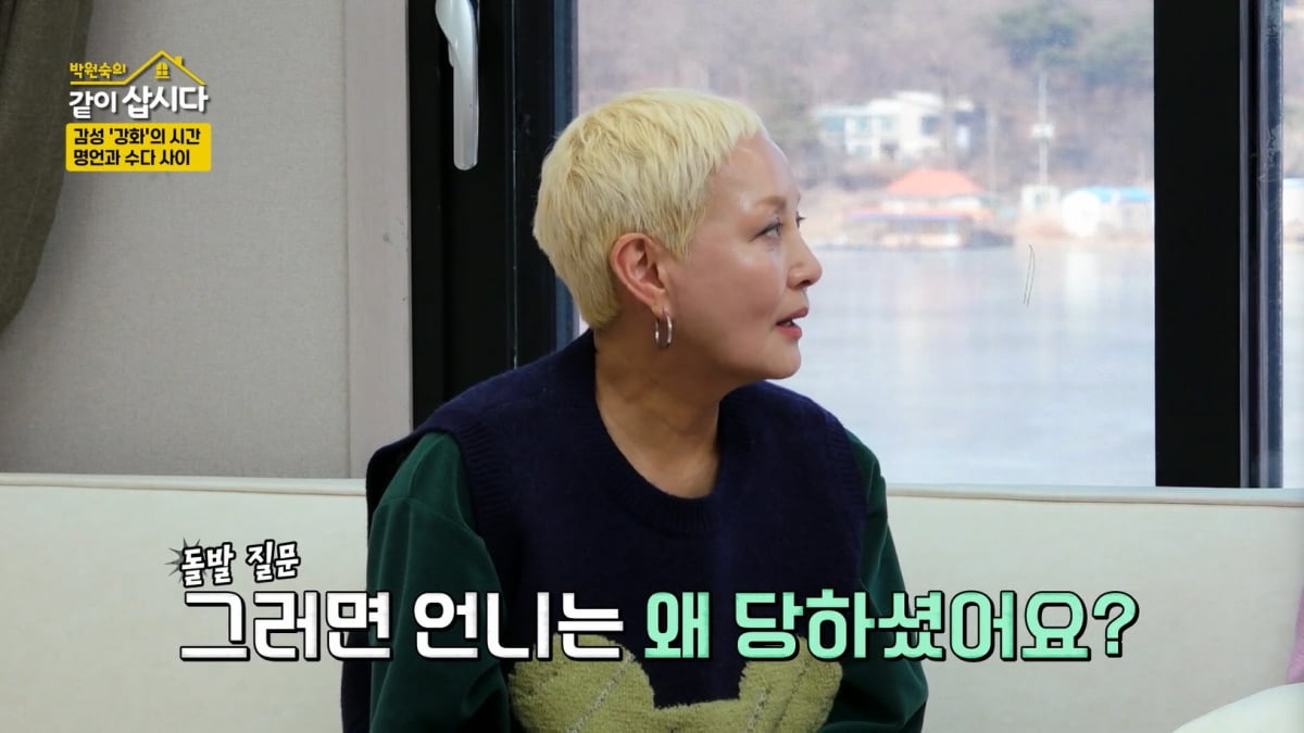 혜은이, 200억대 빚에 이혼 아픔 '극복'…"새로운 세상 만나"('같이 삽시다') [종합]