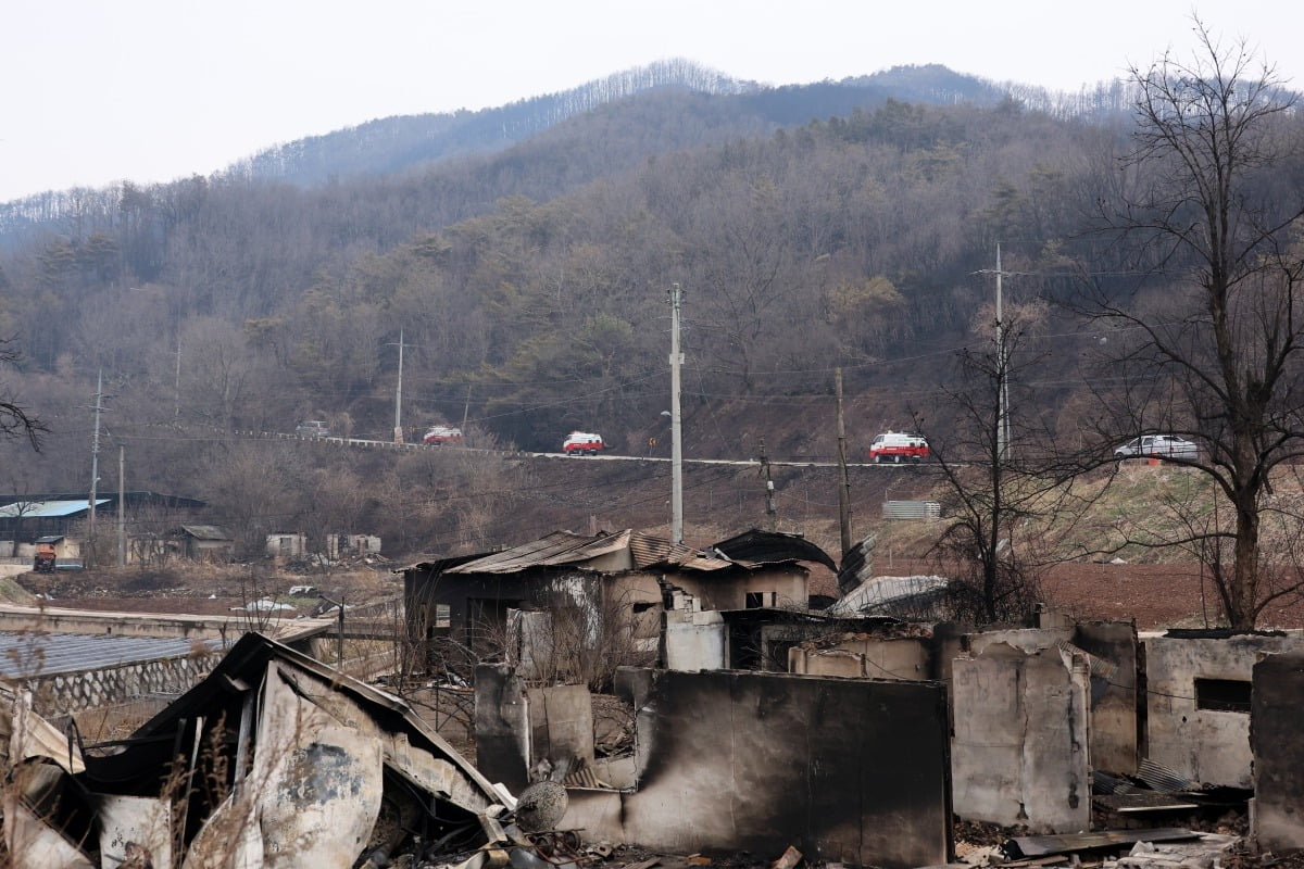 지난달 경북 영덕군 지품면 산불 피해지역에 산불진화차가 달려가는 모습. /사진=연합뉴스