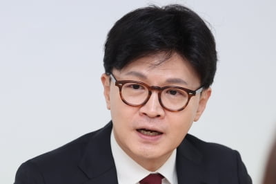 한동훈, '한덕수 차출론'에 "일종의 테마주 주가 조작"