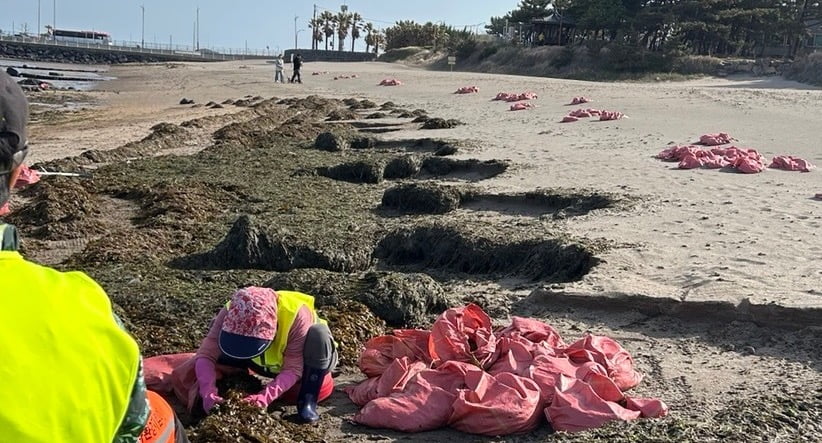 사진=연합뉴스